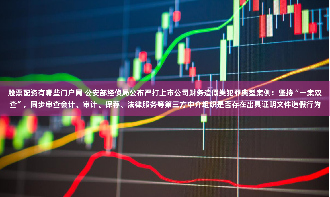 股票配资有哪些门户网 公安部经侦局公布严打上市公司财务造假类犯罪典型案例：坚持“一案双查”，同步审查会计、审计、保荐、法律服务等第三方中介组织是否存在出具证明文件造假行为