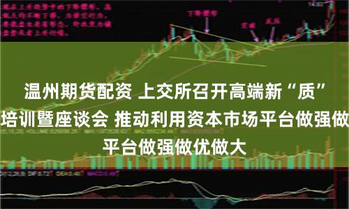 温州期货配资 上交所召开高端新“质”造公司培训暨座谈会 推动利用资本市场平台做强做优做大